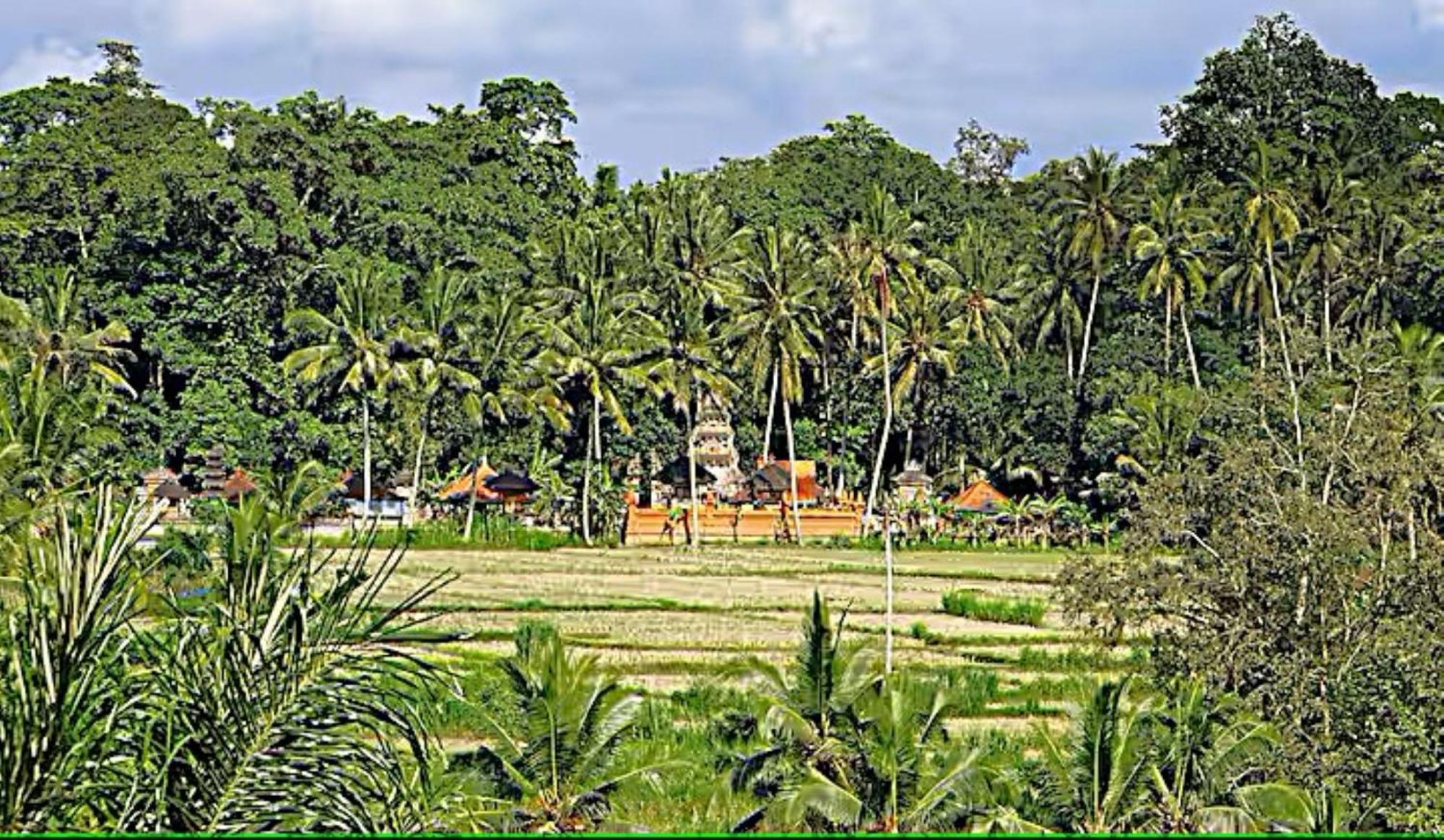 Villa Ria Sayan Ubud Exteriér fotografie