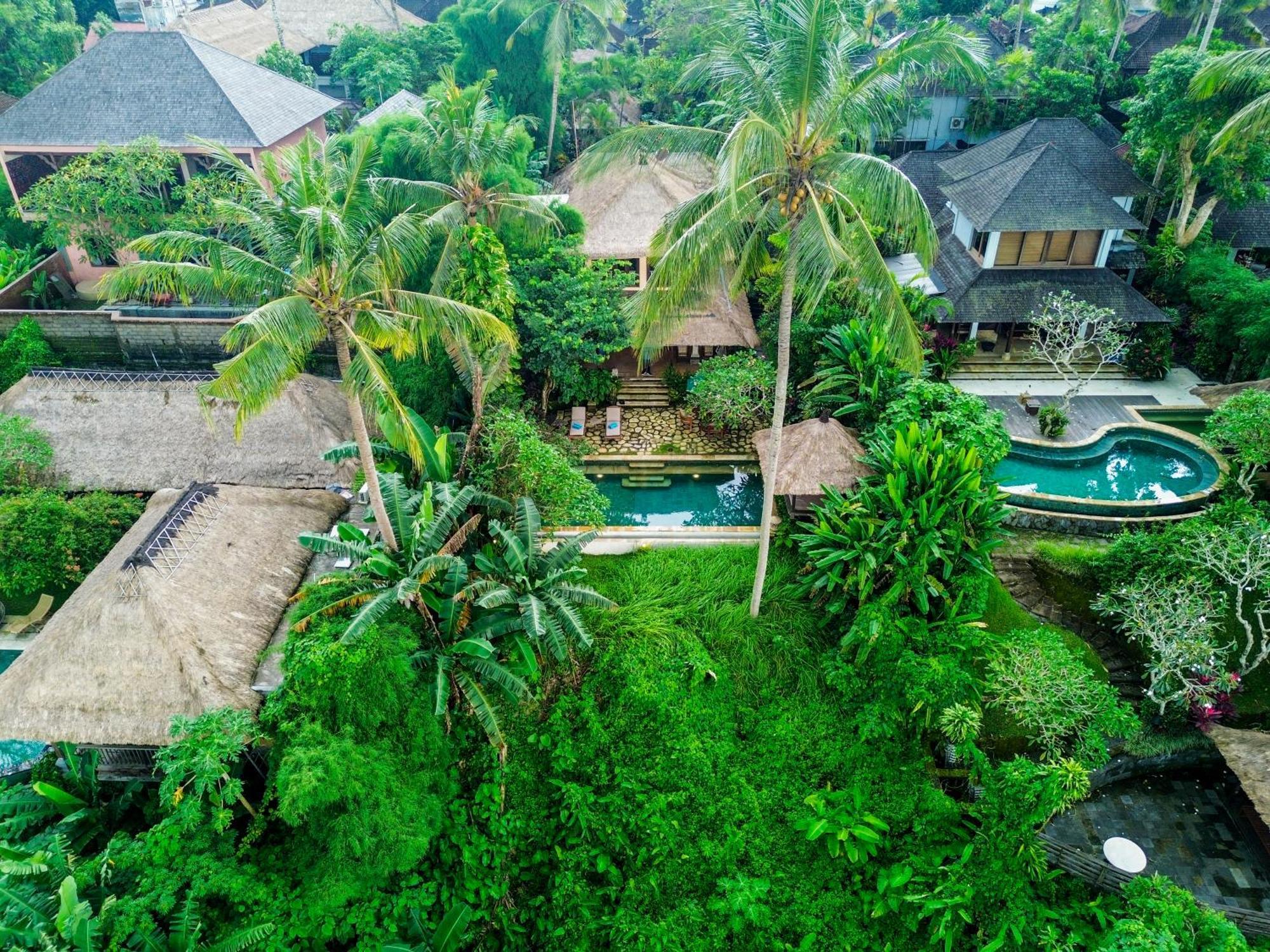 Villa Ria Sayan Ubud Exteriér fotografie